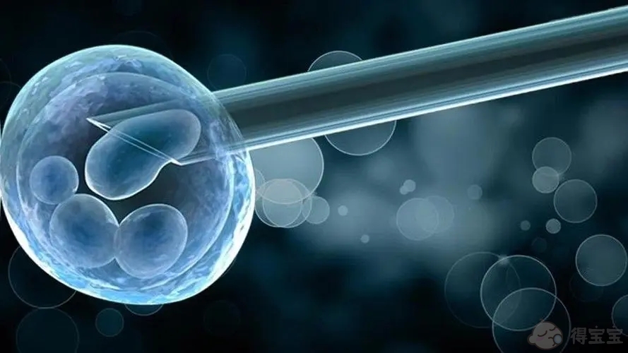 通过试管婴儿治疗，怀上双胞胎的可能性比自然怀孕要高得多。这是因为为了增加怀孕的可能性，通常要对病人进行排卵，以便取回几个成熟的卵子，然后培育几个成熟的胚胎。在胚胎移植过程中，医生可能一次移植两个或三个胚胎，这增加了怀上双胞胎的可能性。孕育双胞胎的试管婴儿费用一般是多少？试管婴儿双胞胎的费用是多少？双胞胎的试管婴儿费用约为30,000美元，主要适用于血管堵塞的妇女，其宫内环境良好，卵巢可以正常排空卵子，而不能以正常方式受孕的妇女，或精子质量差、有染色体或遗传疾病的男性，需要通过试管婴儿选择优质胚胎进行移植。在做试管婴儿之前，妇女要接受药物治疗，以治疗她们的卵子。在取回几个优质卵子后，它们在体外与精子结合，并选择优质的囊胚进行移植。如果妇女没有疤痕子宫，根据妇女的健康状况，在第一次试管婴儿中可以使用两个胚胎，以提高试管婴儿的成功率。一般来说，试管婴儿的成功率约为30%。即使使用两个胚胎，两个胚胎都可能发育成健康的胎儿，或者一个胎儿被淘汰而另一个正常存活。试管婴儿治疗的费用并不取决于患者怀的是单胎还是双胎，所以如果患者怀的是单胎或双胎，费用不会改变。影响试管婴儿费用的主要因素是。年龄因素：由于年轻患者的身体状况良好，卵子的怀孕率一般都很高。巢穴反应好，怀孕率高，试管婴儿药物使用量少，移植数量少，所以试管婴儿的费用相对较低。对于年龄较大的患者，第一个原因是卵巢功能不好，第二个原因是怀孕率低，而且胚胎移植的次数可能会增加，所以费用相对较高。与药物类型有关的因素。通常有许多不同类型的药物用于试管婴儿，不同类型的药物有不同的价格。进口药物更有效，但也更昂贵，所以使用进口药物的患者通常在排卵期花更多钱。目前，一个完整的试管婴儿周期的费用通常为30,000至40,000美元。如果一个周期失败了，而病人还剩下冷冻胚胎，将冷冻胚胎移植回来的费用通常是6000美元左右。然而，如果病人没有胚胎了，她将不得不接受一些程序，如重新循环、排卵等。费用差别不大，通常在20000至30000美元之间。以上文字是对 