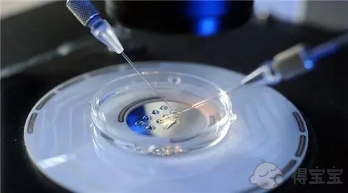 试管婴儿取卵后多久可以移植？新鲜胚胎和冷冻胚胎哪个成功率高